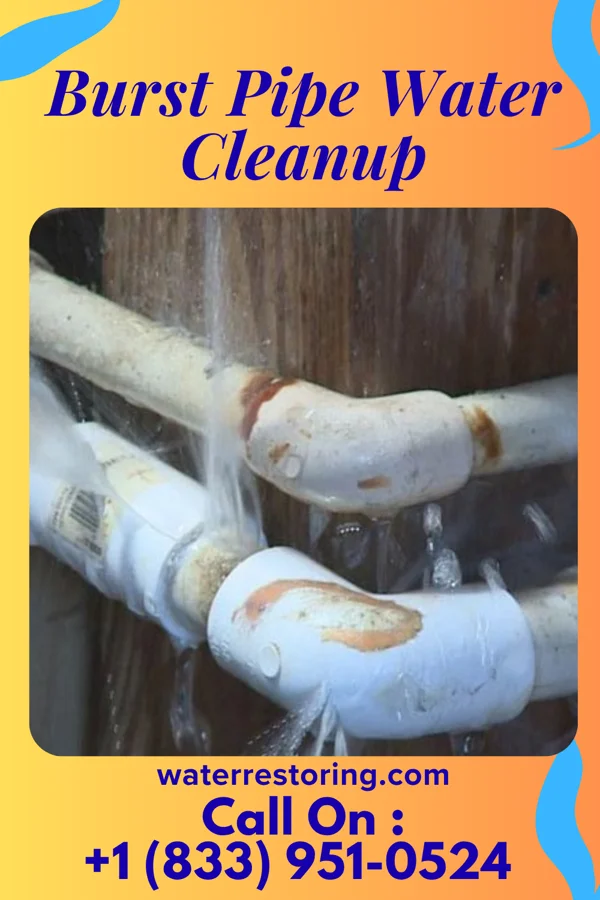 Burst Pipe Water Cleanup in Fort Recovery, OH