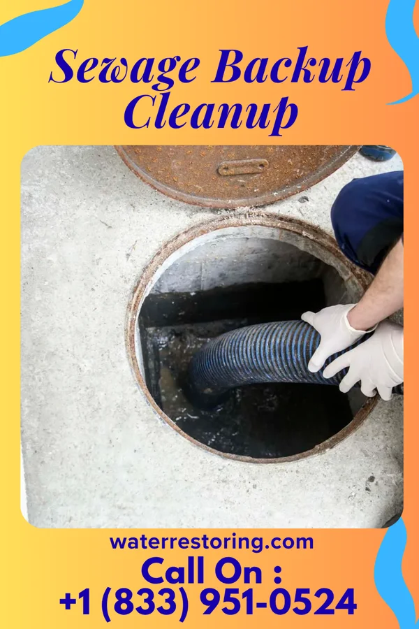 Sewage Backup Cleanup in Fort Recovery, OH