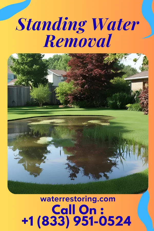 Standing Water Removal in Fort Recovery, OH